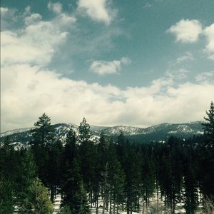 Meet your Posher, Fiona